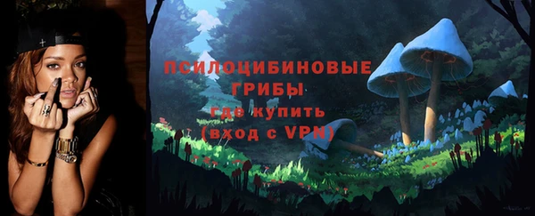 стафф Арсеньев