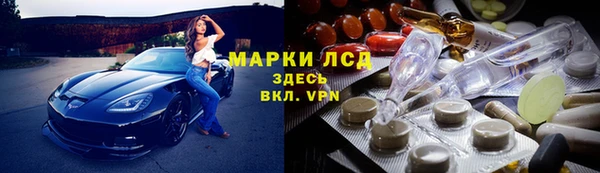 стафф Арсеньев