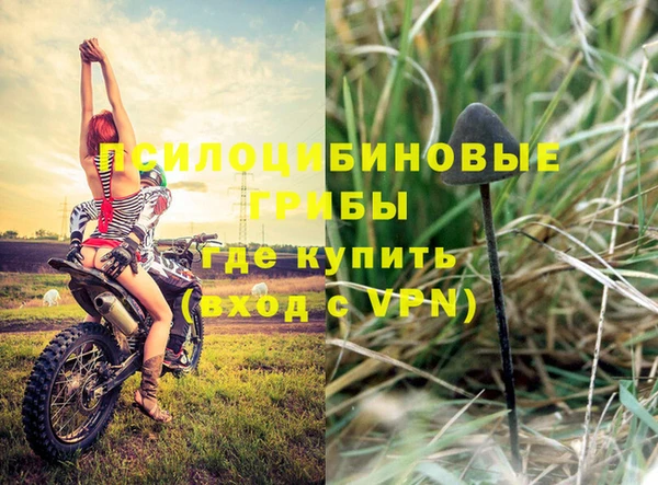 стафф Арсеньев