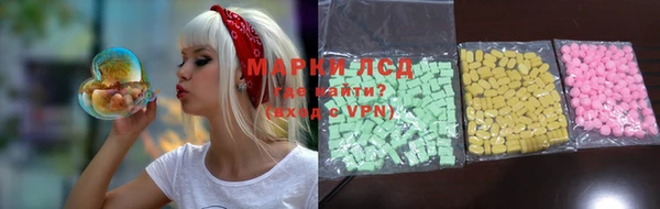 стафф Арсеньев