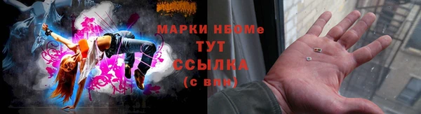 стафф Арсеньев