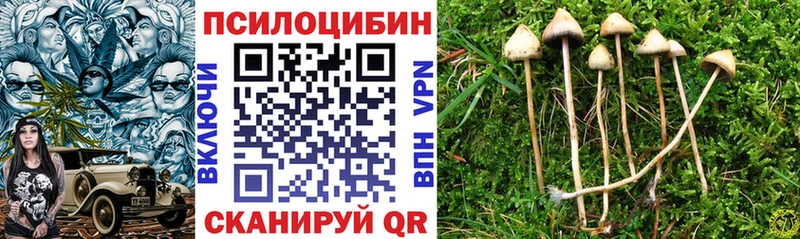 Галлюциногенные грибы Psilocybe  omg tor  Туринск  как найти закладки 